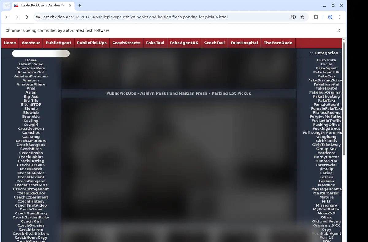 Czechvideo Video Downloader browser extension screenshot 2