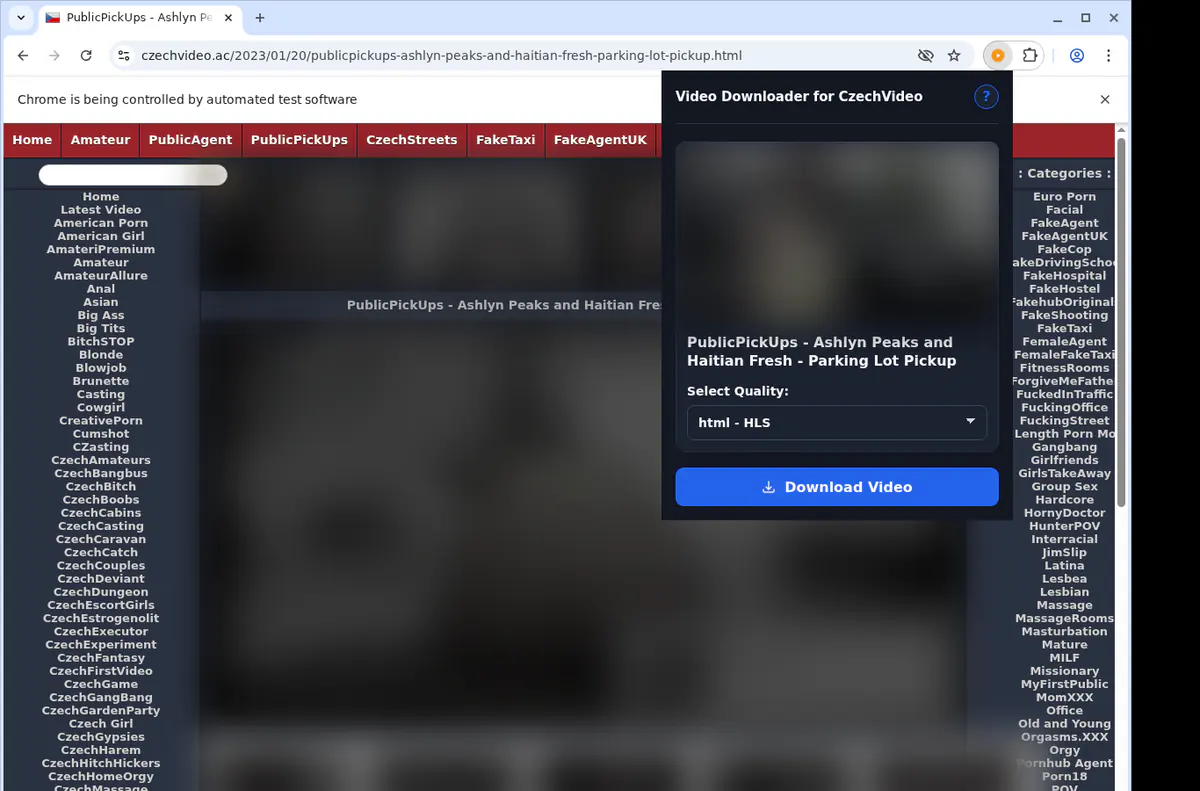 Czechvideo Video Downloader browser extension screenshot 3